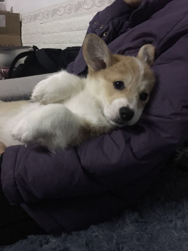 微信图片_20180202115512.jpg