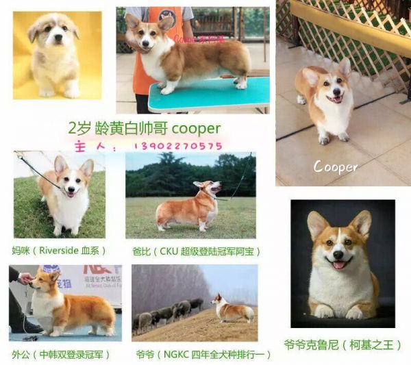 QQ图片20180202135626.jpg