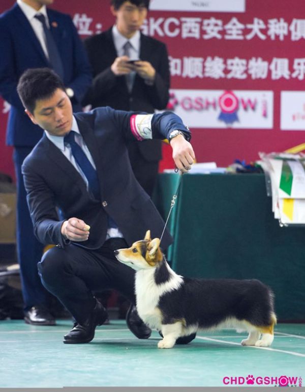 八月3.jpg