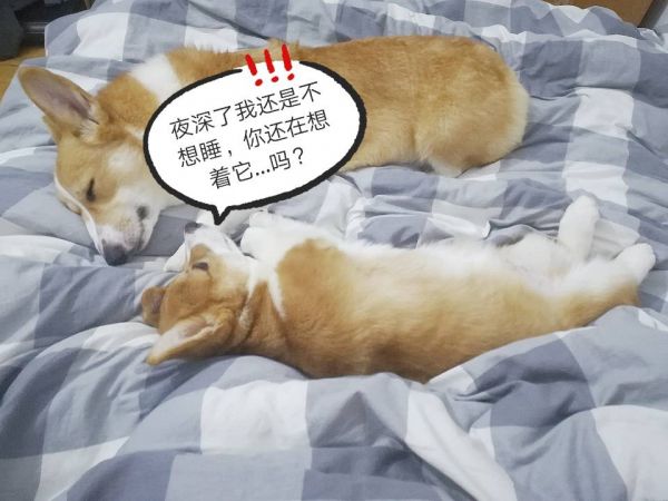 QQ图片20180205153421.jpg