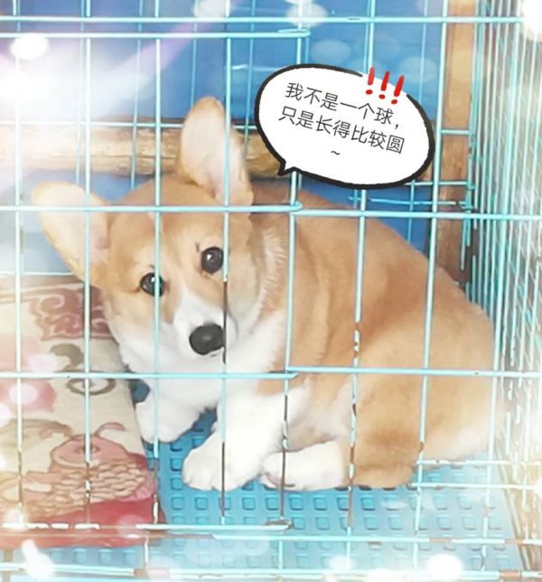 QQ图片20180205154759.jpg