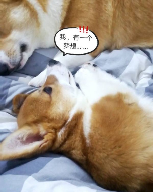 QQ图片20180205155239.jpg