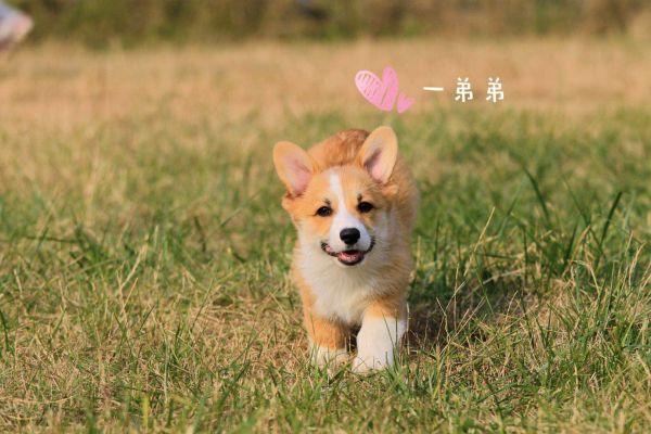 微信图片_20180119114632.jpg
