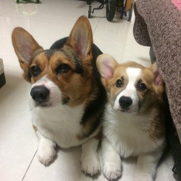 IMG_5189.JPG