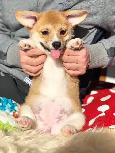 517F4394-8E26-4C53-AB58-3B200D1296D7.jpeg