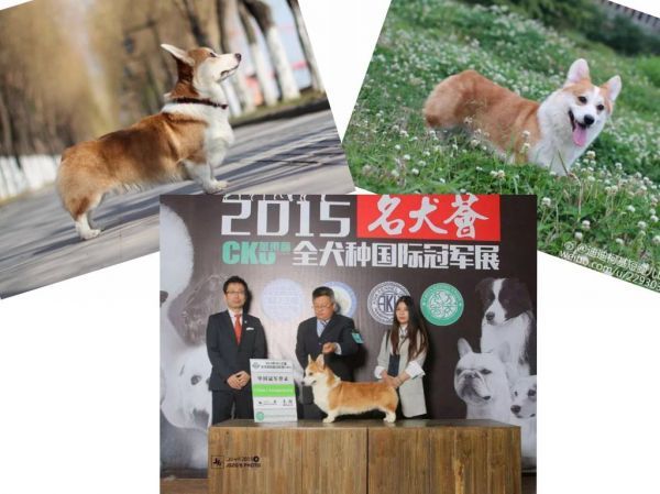 父亲