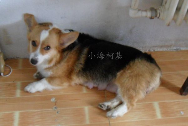SAM_1442_副本.jpg