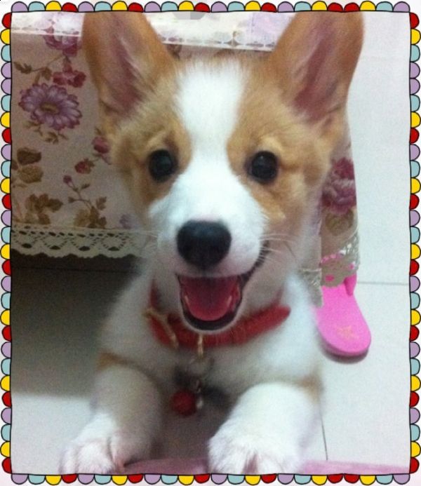 三个月了，微微一笑么么哒