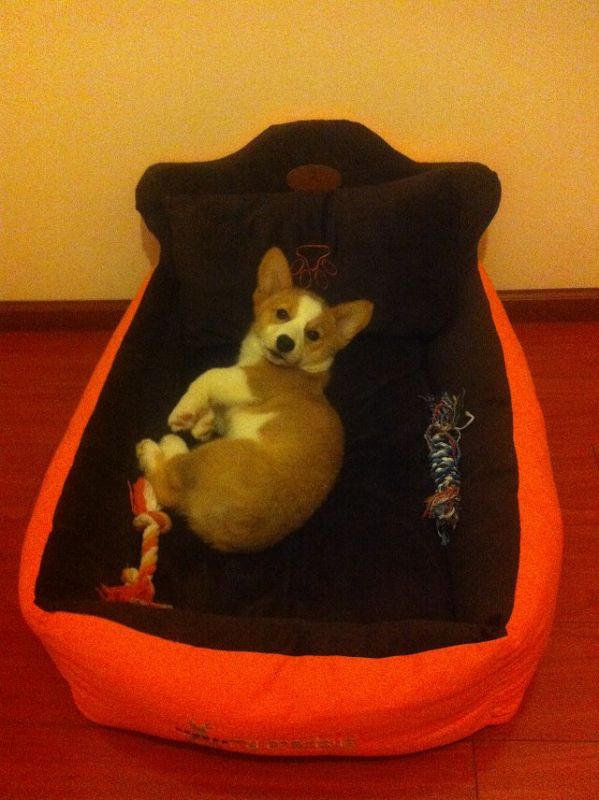 刚洗完澡，出水芙蓉么么哒