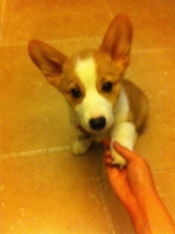 握手手的么么哒