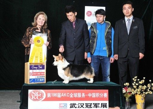 狗爸爸EASON