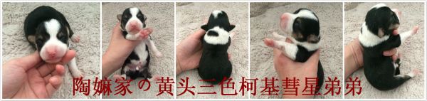 default副本 4.jpeg