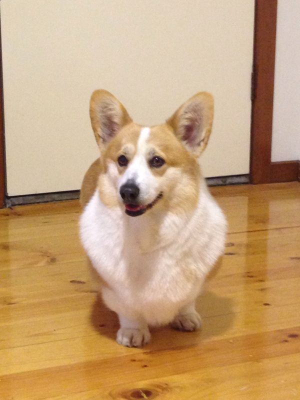 image.jpg