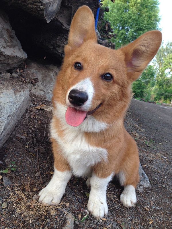 getimgdata (4)_副本.jpg