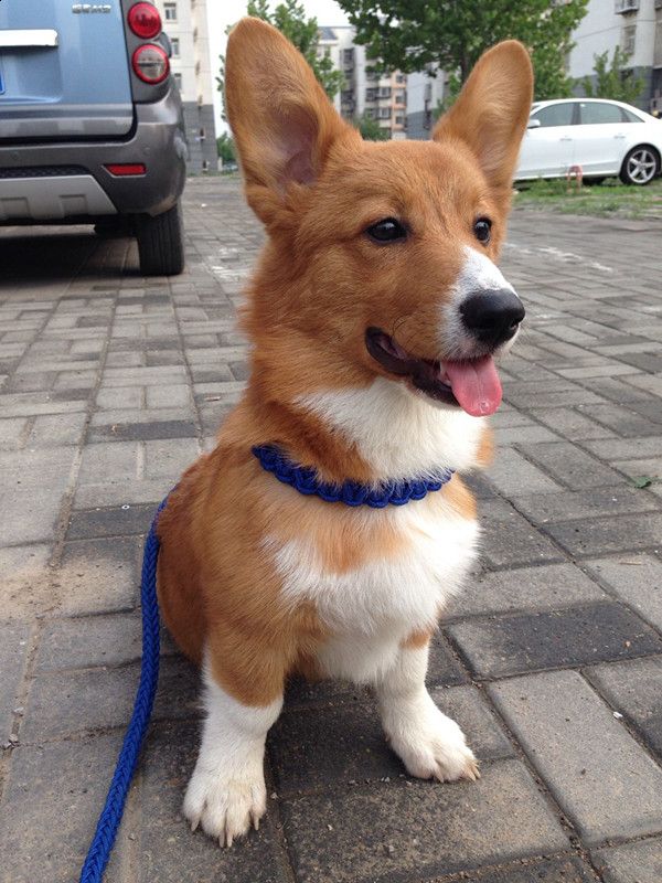 getimgdata (5)_副本.jpg