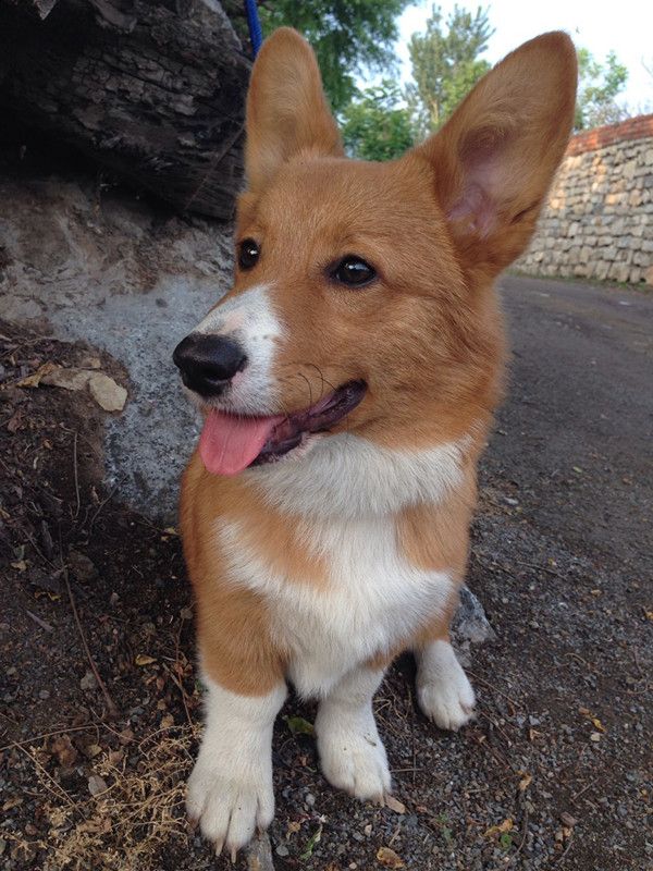 getimgdata (6)_副本.jpg