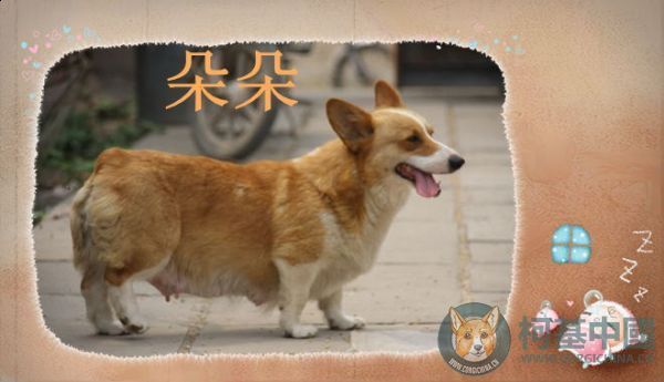 妈妈