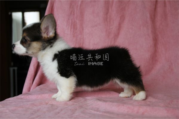 三MM3拷贝.jpg