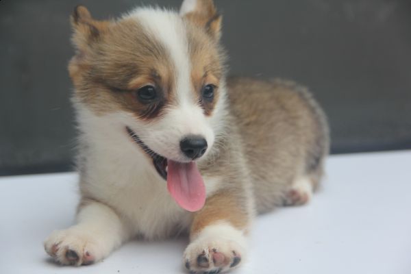 70日龄 4MM 20140627-14.jpg