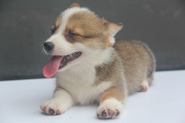 70日龄 4MM 20140627-15.jpg