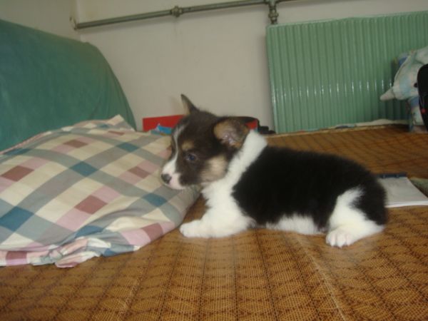 DSC03793.JPG