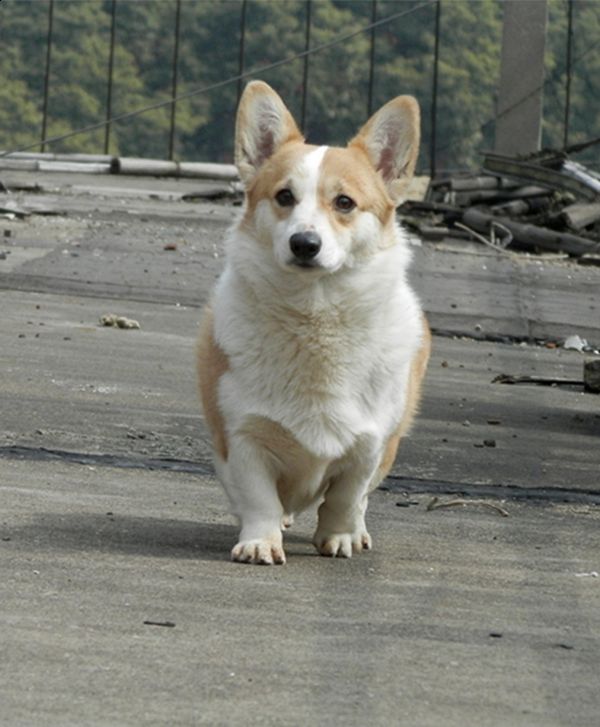 妈妈——Magic day