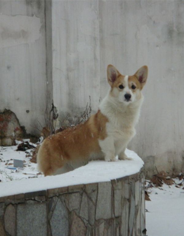 妈妈——Magic day