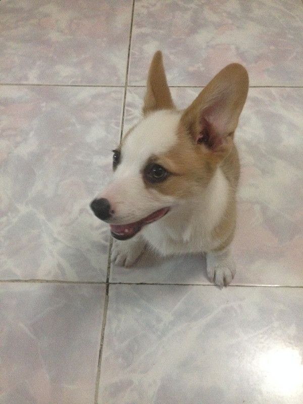 刚进家门，有些害怕