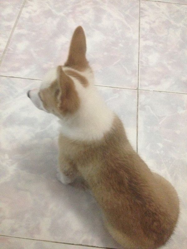 眼睛一直盯着门口，好想离开哦