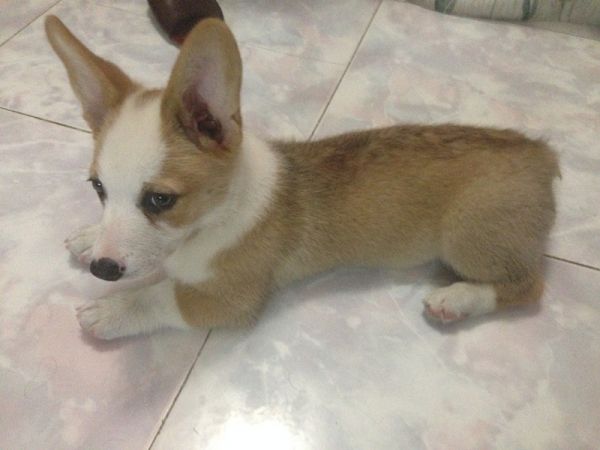 对拖鞋都视而不见，眼里充满恐惧