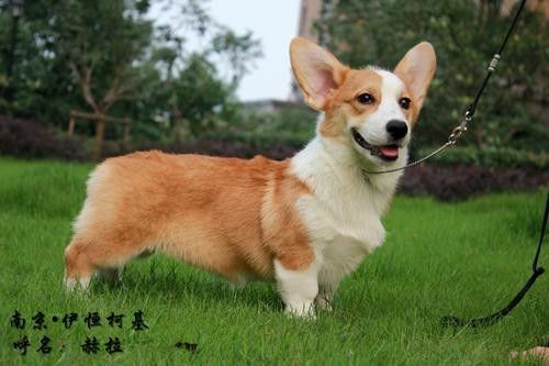 赫拉2.jpg