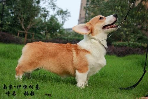 赫拉1.jpg