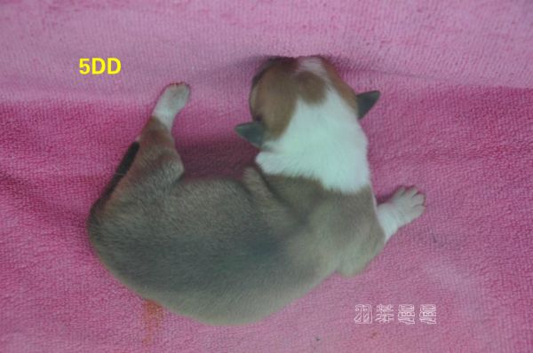 5D.jpg
