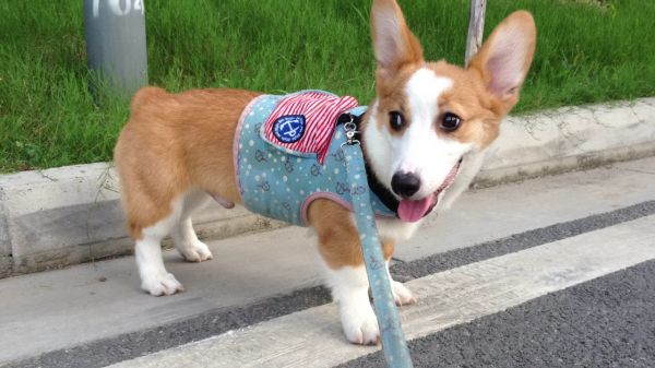 外面的世界真好