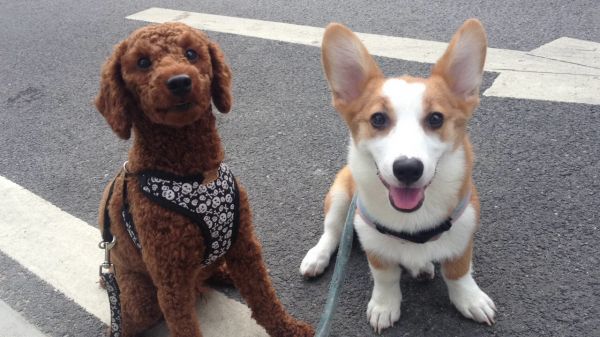 有泰勒哥哥的陪伴，外面的世界不一样了