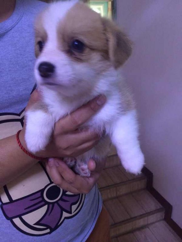 复件 gongzhuwo 012.jpg