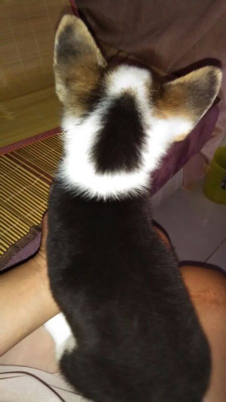 QQ图片20140806102452.jpg