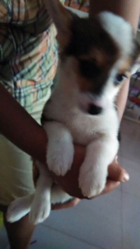 QQ图片20140806102442.jpg