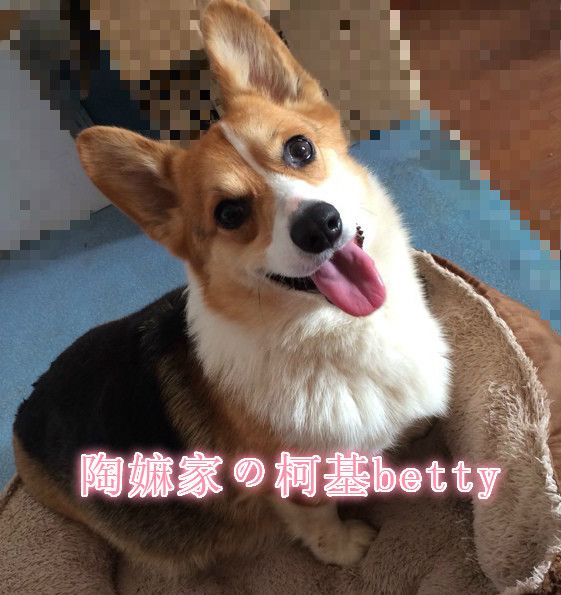default副本.jpeg