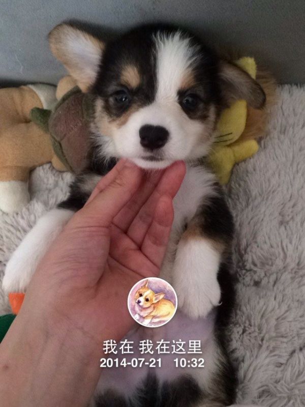 default (1)副本.jpeg