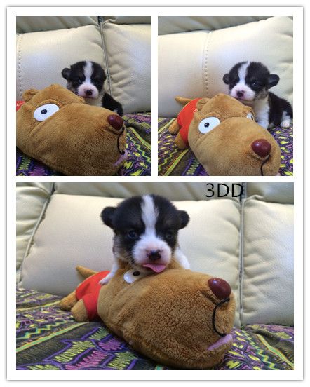 老     3_副本.jpg