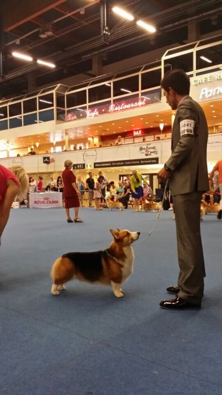 QQ图片20140812203814.jpg