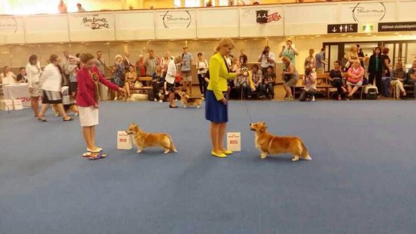 QQ图片20140812204023.jpg