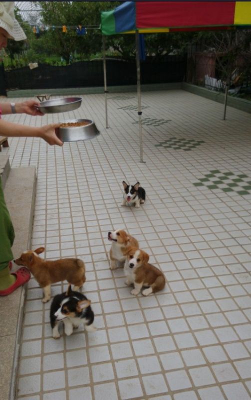 QQ截图20140814111500.jpg