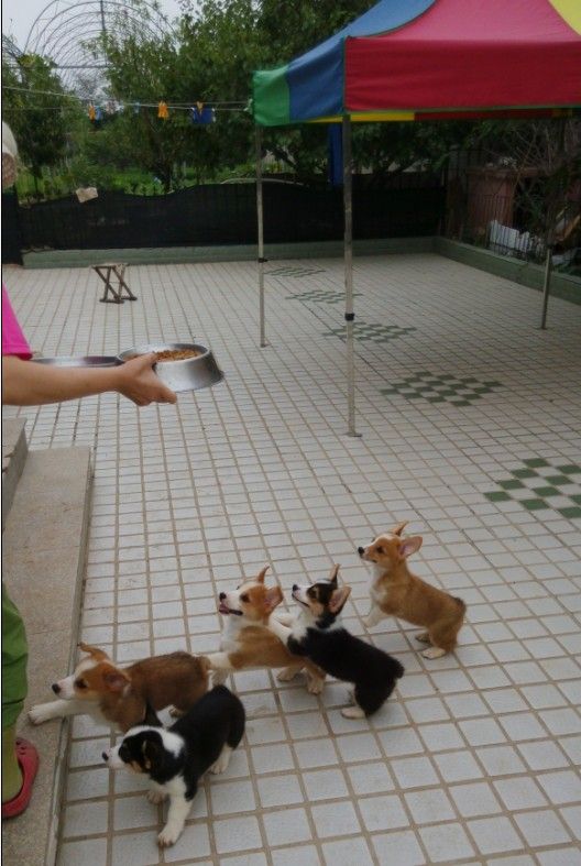 QQ截图20140814111514.jpg
