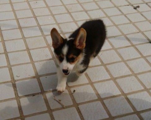 QQ截图20140814111546.jpg