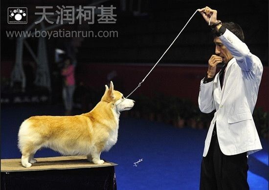 QQ图片20140816222427.jpg