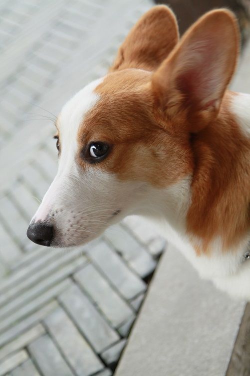 冷酷到底