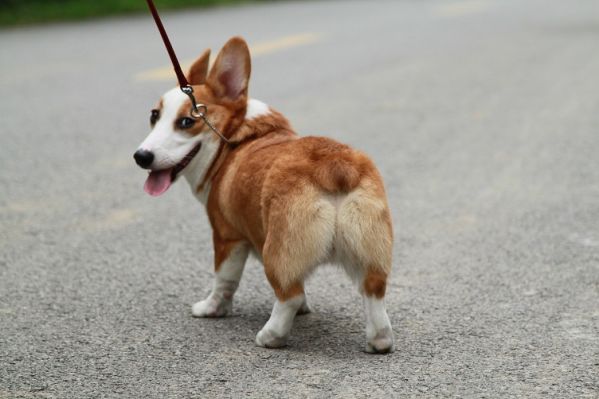 偷窥我屁股