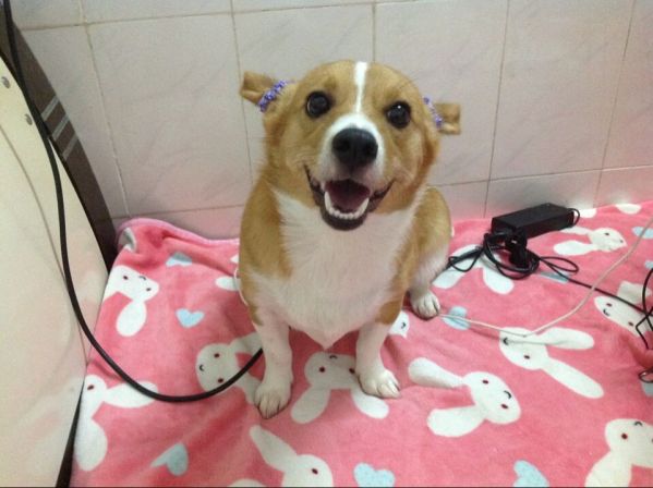 QQ图片20140706164059.jpg
